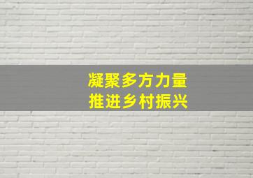 凝聚多方力量 推进乡村振兴